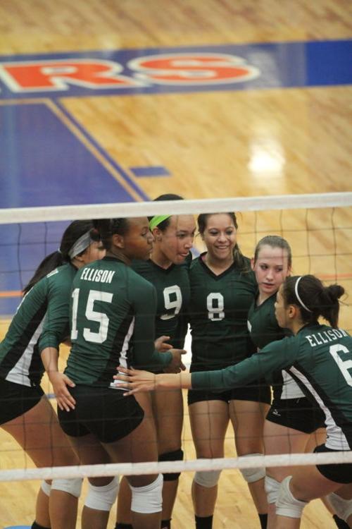 EllisonMansfieldVolleyball34.JPG