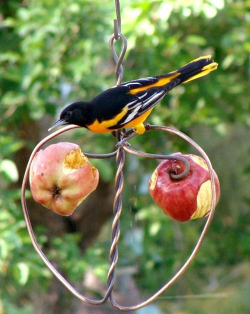 Garden gift ideas