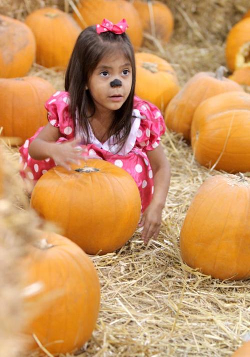 Killeen Halloween Carnival
