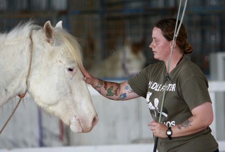 Year in Photos - Horse Trainers