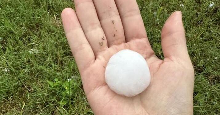 Local businesses responding to recent hail storm - Vimarsana News