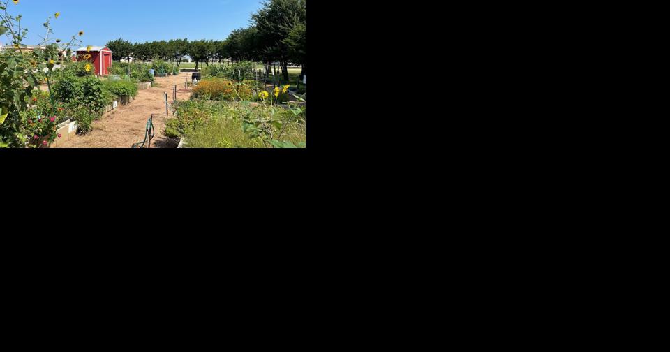 Harker Heights plans full summer of activities - Vimarsana News