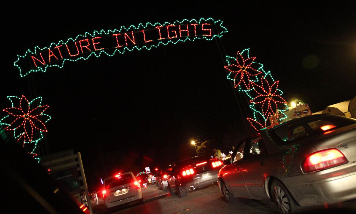 Magical lights wow crowds at BLORA Features