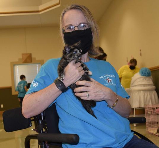 Heights Pet Adoption Center hosts kitten shower event Local