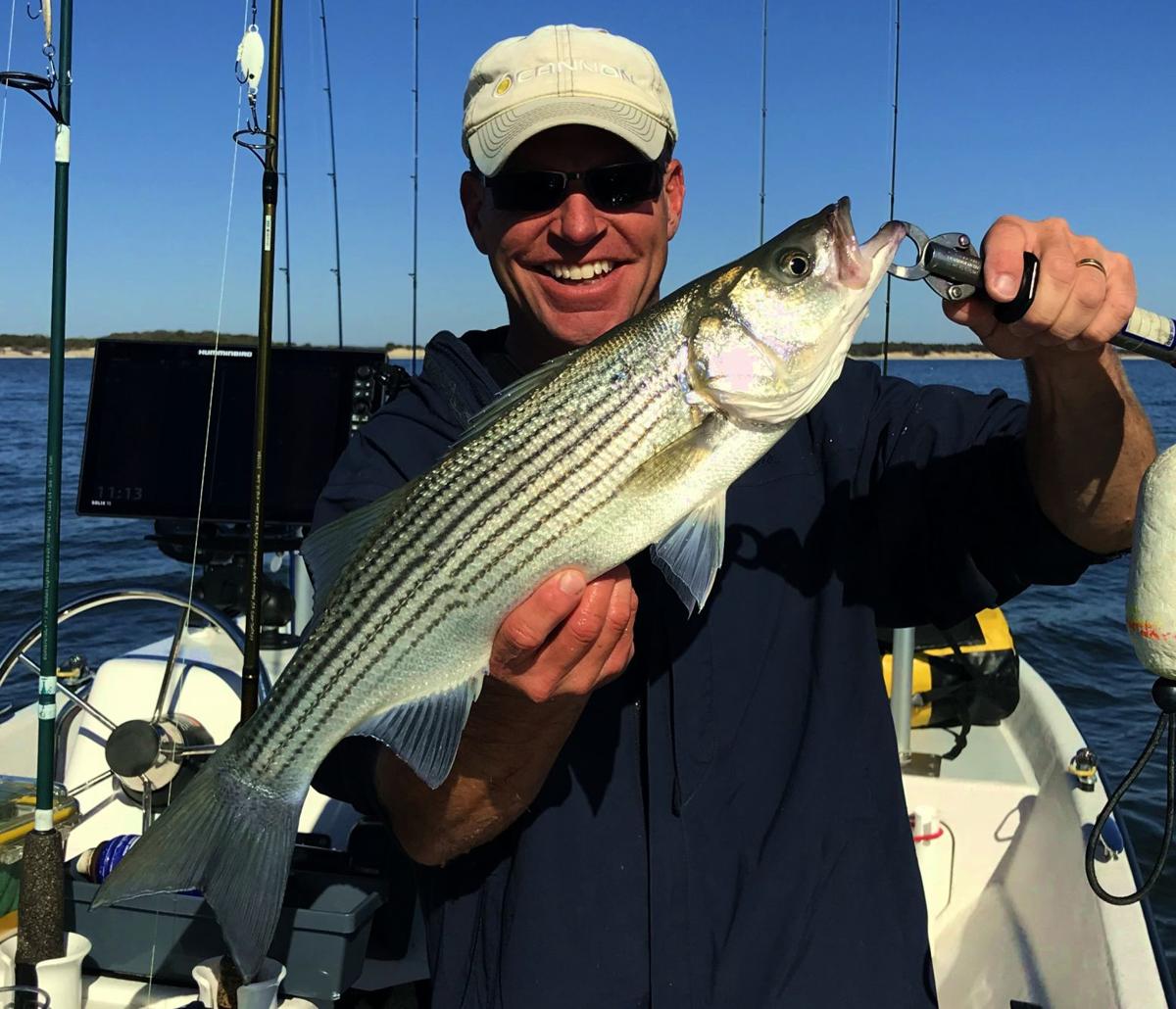 BOB MAINDELLE: Freshwater striped bass just a short drive away, Outdoor  Sports