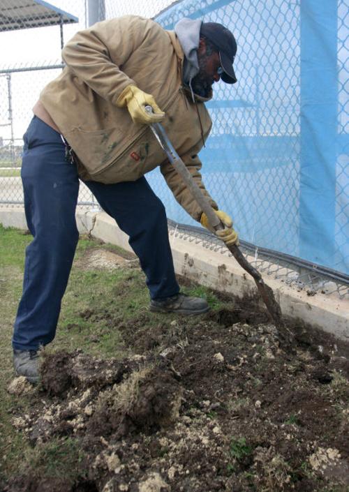 Wild Art Digging up Dirt