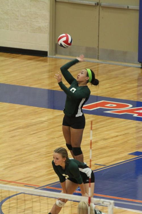 EllisonMansfieldVolleyball54.JPG