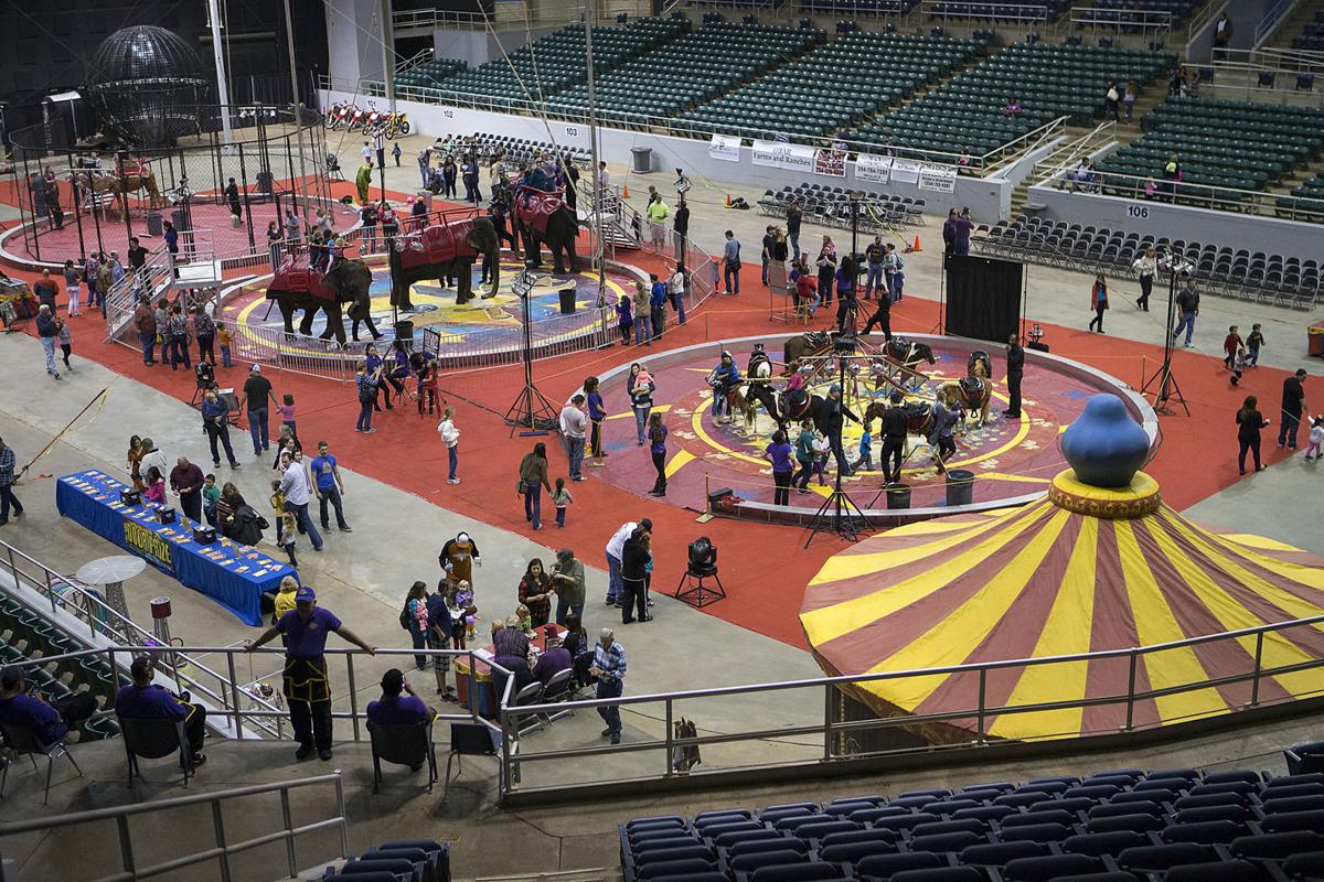 2014 Shrine Circus snares, dazzles children | News | kdhnews.com 2014 Shrine Circus snares, dazzles children | News | kdhnews.com
