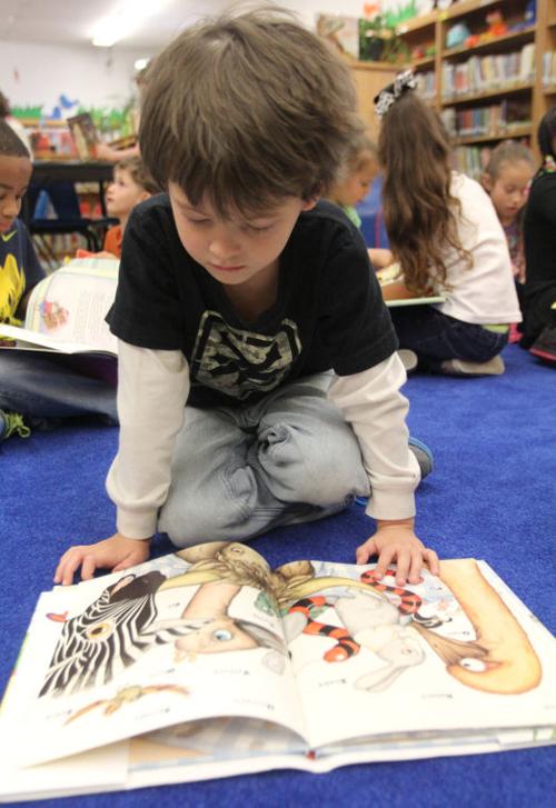 Children's Book Project