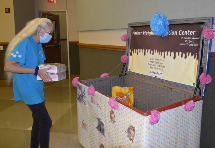 Heights Pet Adoption Center hosts kitten shower event Local