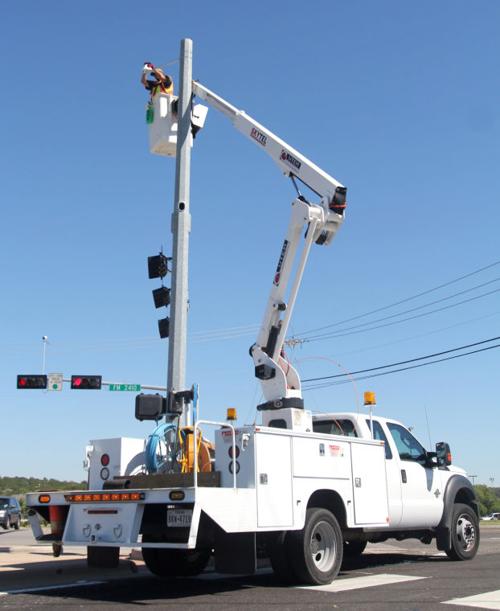 WIld Art - Traffic Pole