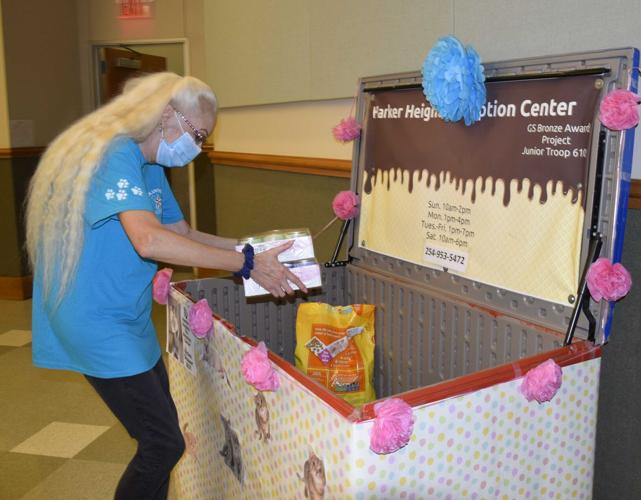 Heights Pet Adoption Center hosts kitten shower event Local