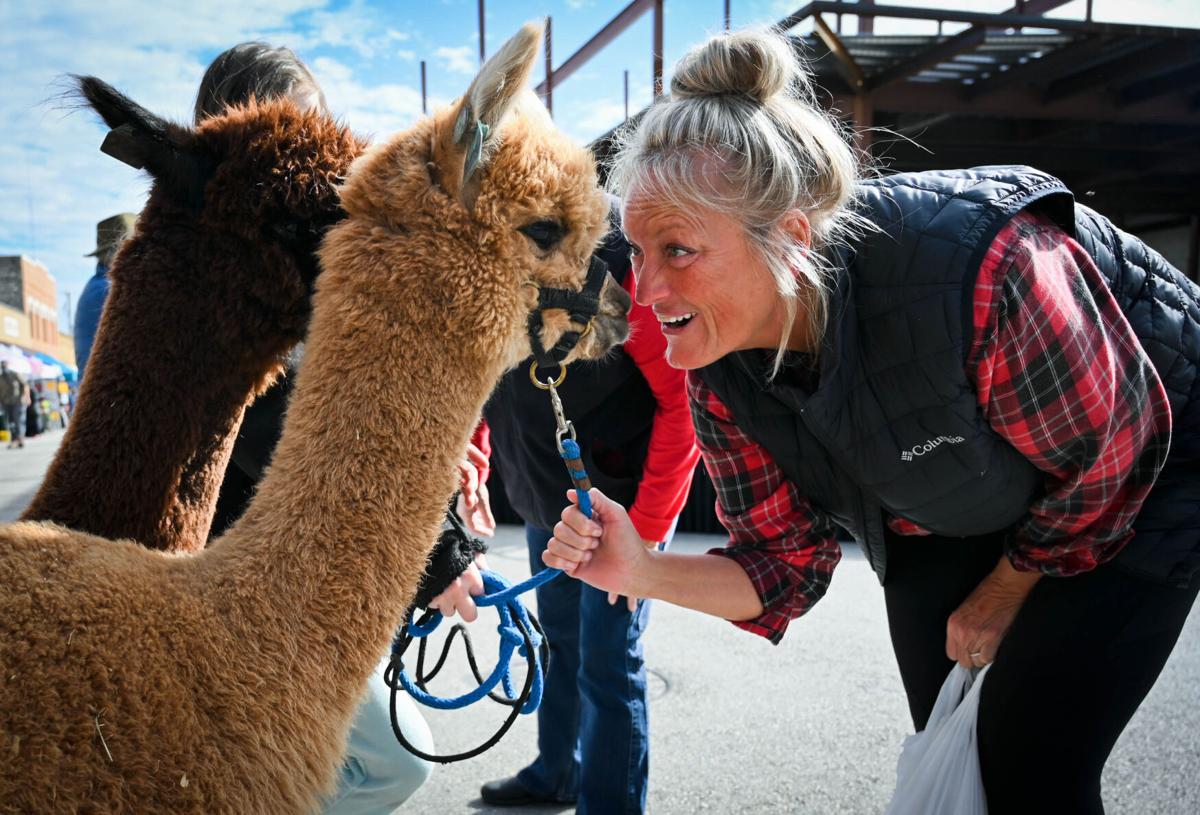Christmas On The Chisholm Trail Belton Tx 2022 Christmas On Chisholm Trail Different, But Happening | Region | Kdhnews.com