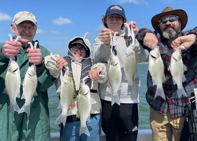 BOB MAINDELLE: White bass fishing now as good as it gets on Belton Lake, Outdoor  Sports