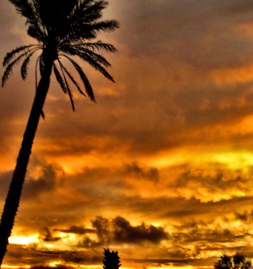 Beautiful Sunset