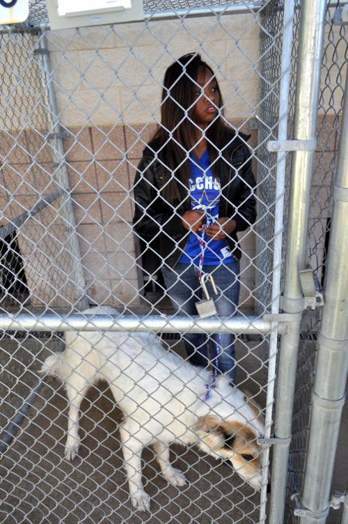 Copperettes shelter visit
