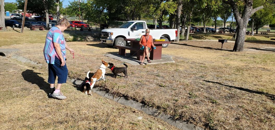 Raising Cane’s, city officials break ground on dog park in Cove