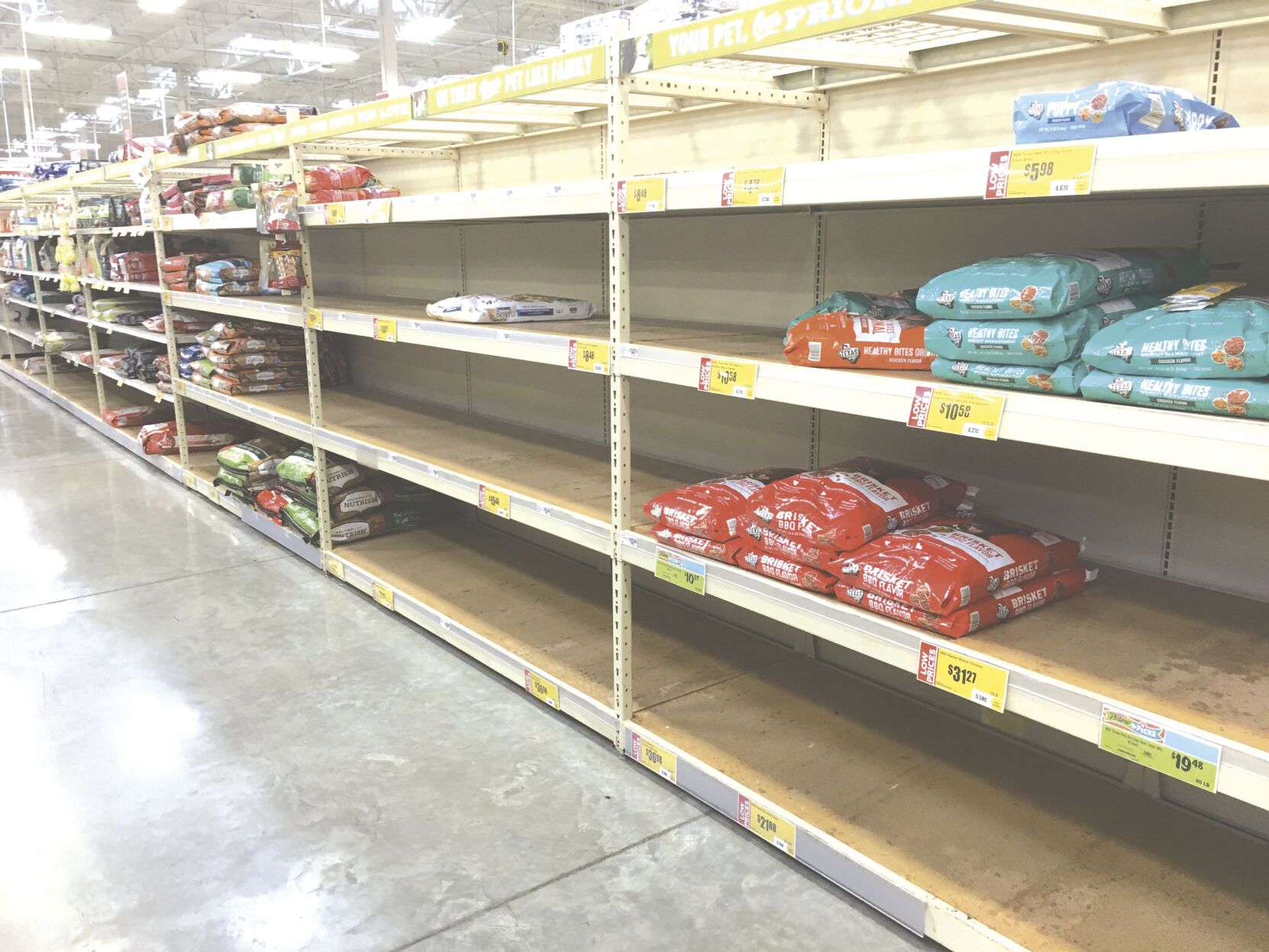 Supply chain issues lead to pet food shortage Local News