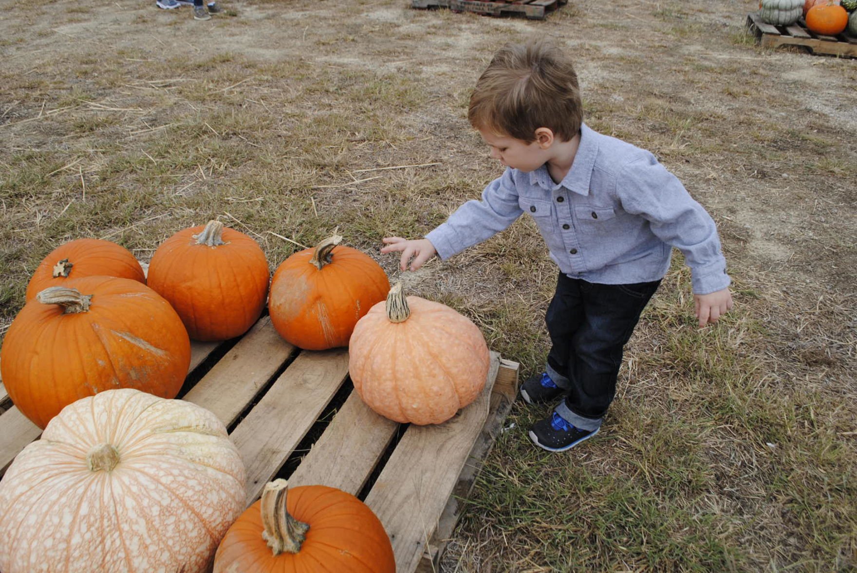 Halloween schedules and events for the Killeen Fort Hood area