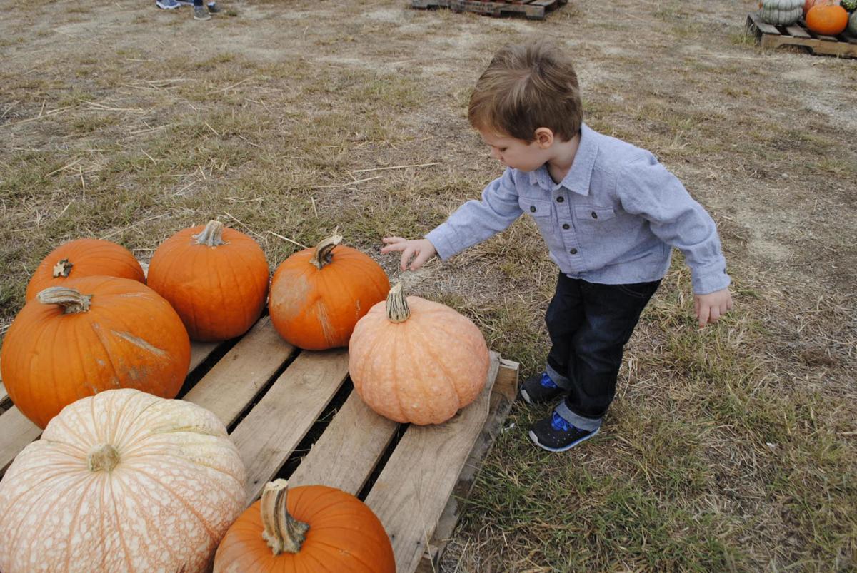 Halloween schedules and events for the Killeen-Fort Hood area | Local News  | kdhnews.com