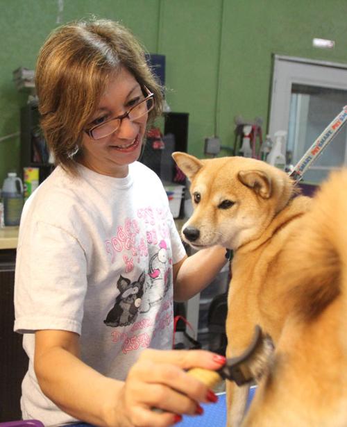 Doggie Day Spa