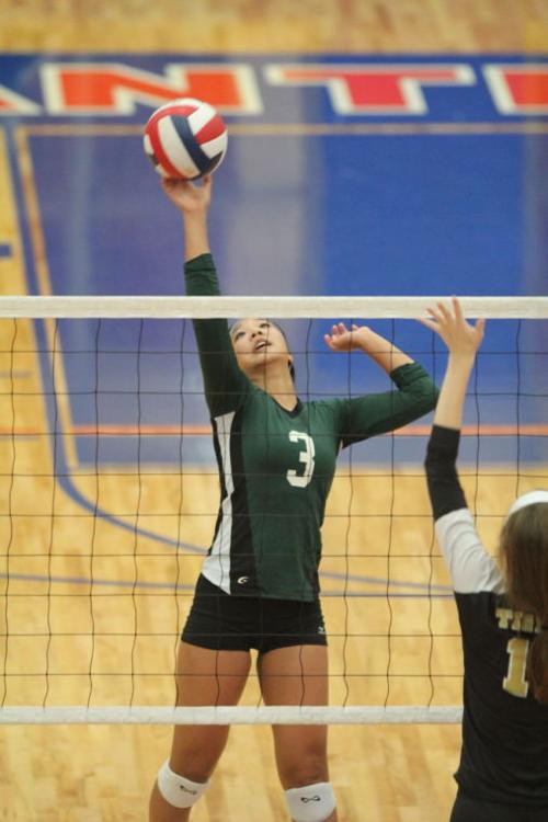 EllisonMansfieldVolleyball14.JPG