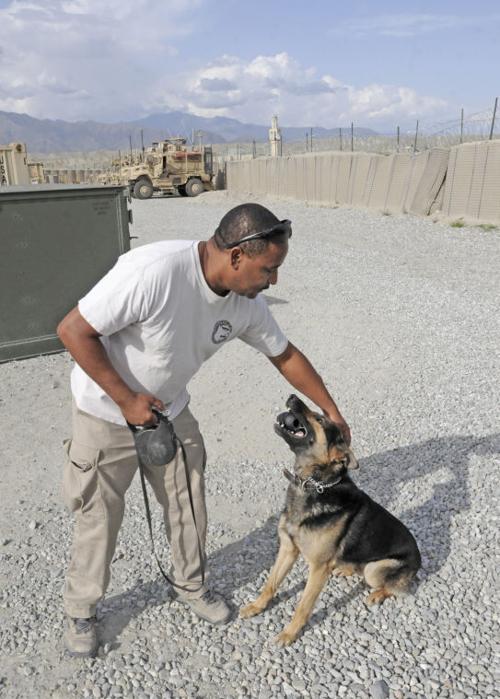 Canines, handlers keep FOB Gamberi safe