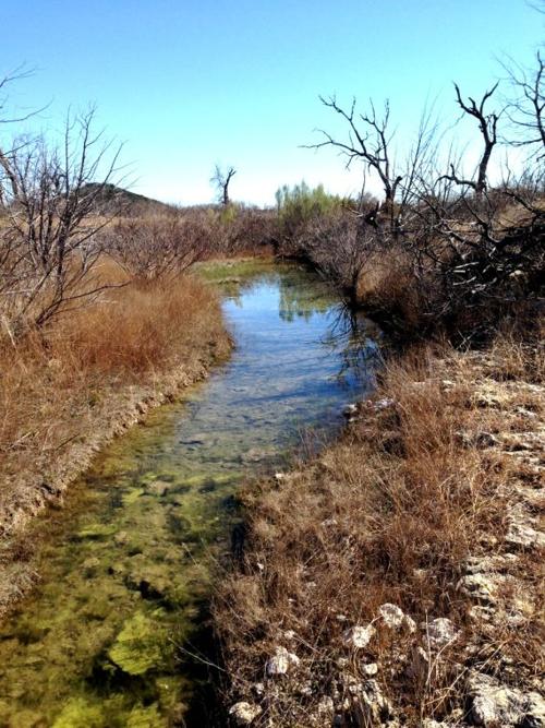 A stream running into Stillhouse Lake
