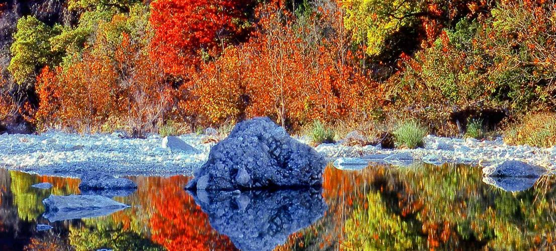 Lost Maples Foliage Report Head South For A Look At Fall Colors At Lost Maples State Natural Area |  Fort Hood Herald | Kdhnews.com