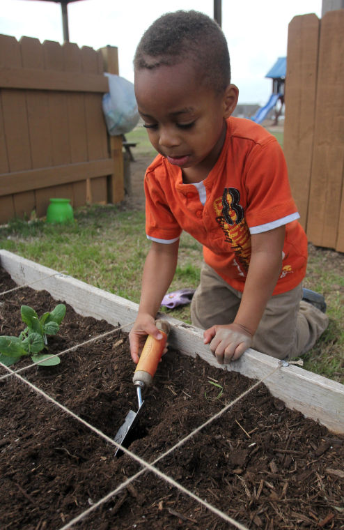 Gardening