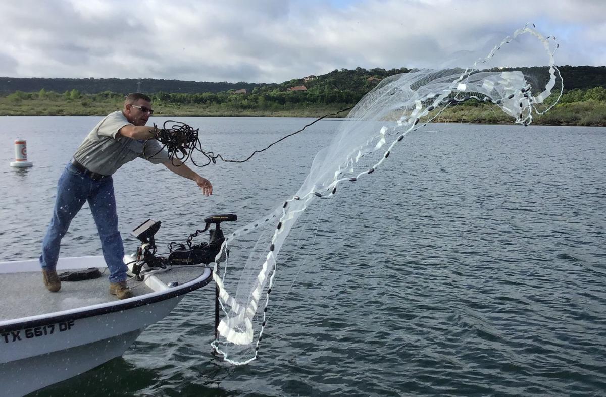 Net Gains: Load Up on Bait with a Well-Thrown Cast Net - Game & Fish