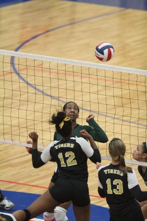 EllisonMansfieldVolleyball68.JPG