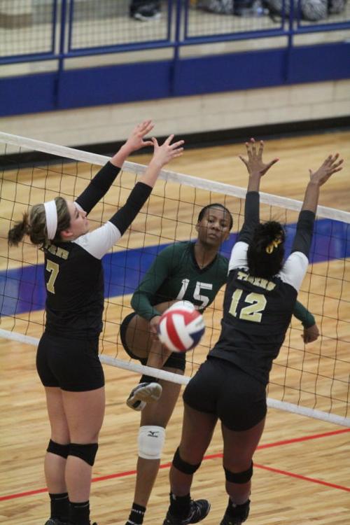 EllisonMansfieldVolleyball50.JPG
