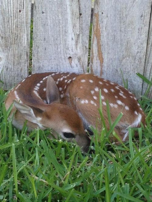 Taking a rest