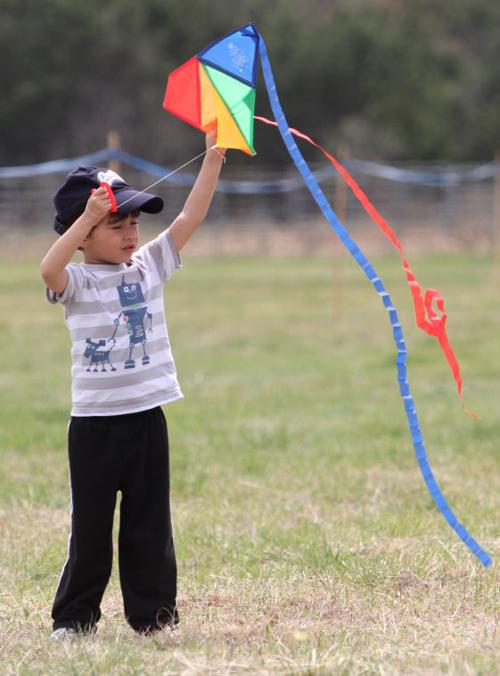 Kites for Kids