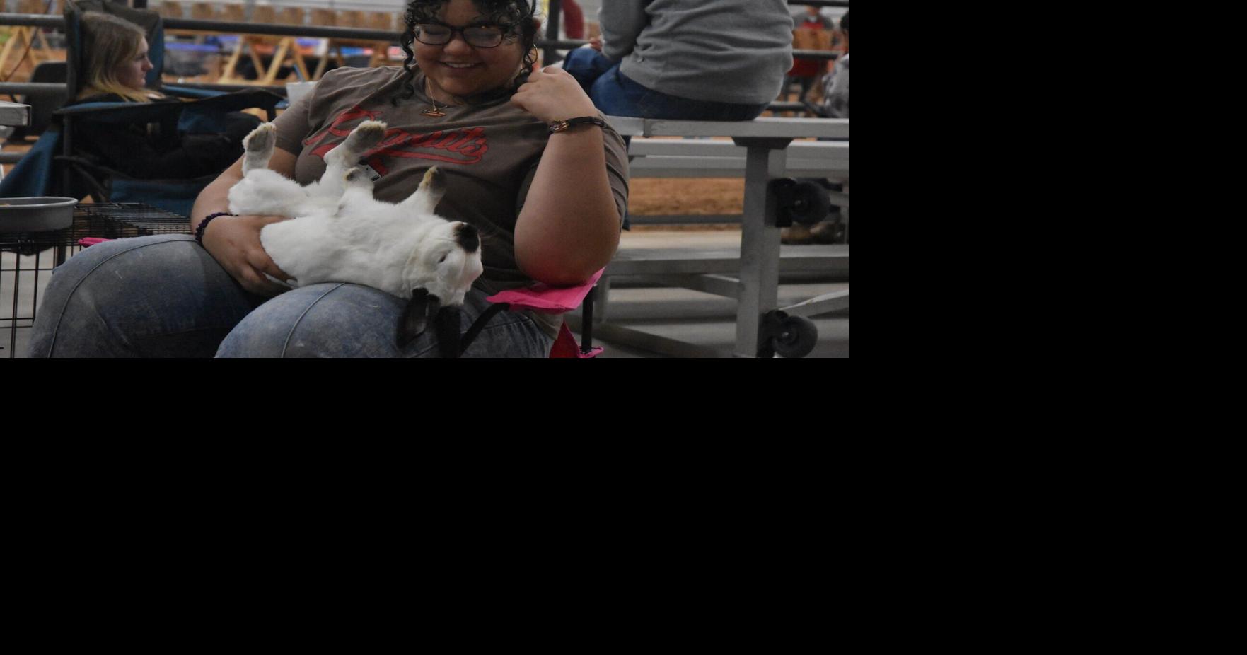 Rabbits, goats grab attention at third day of Bell County Youth Fair ...