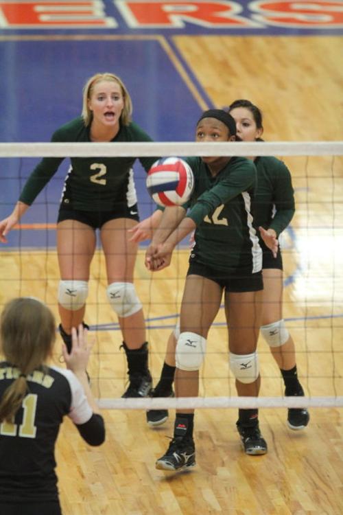 EllisonMansfieldVolleyball15.JPG