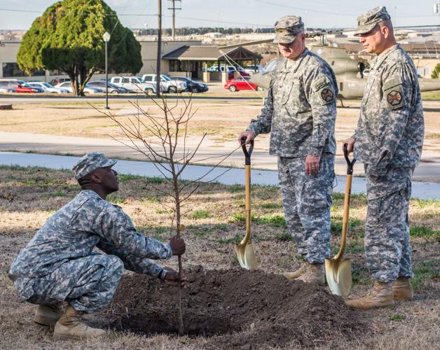 Hear the story of the 9/11 Survivor Tree, a symbol of hope and resilience, E-News