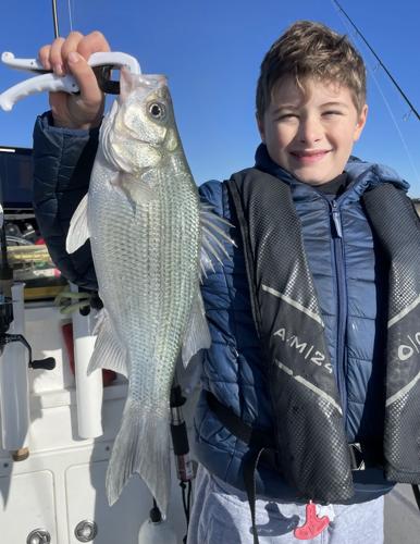 8 Year Old Kid Catches MASSIVE Fish!!! GIANT Striped Bass!!! 