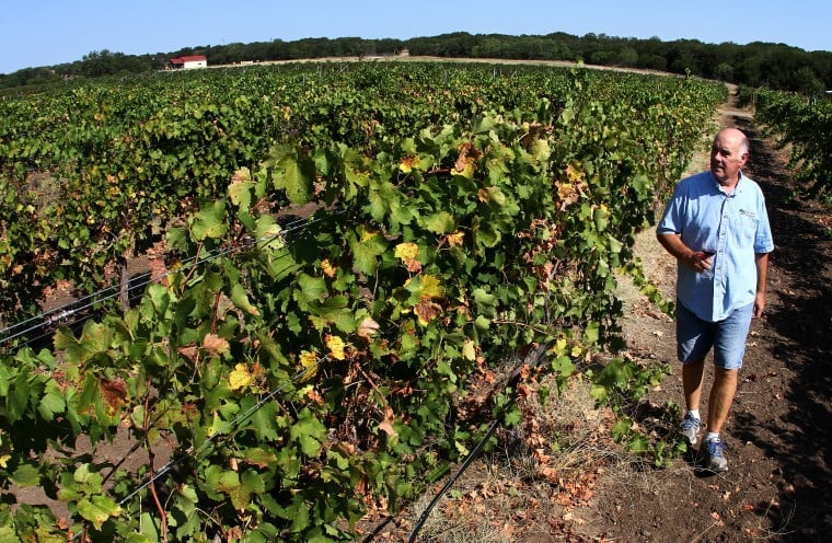 Pillar Bluff Winery 05.jpg