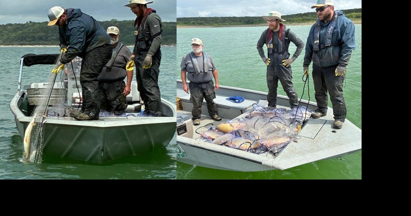 BOB MAINDELLE: TPWD conducts hybrid striped bass-specific sampling on ...