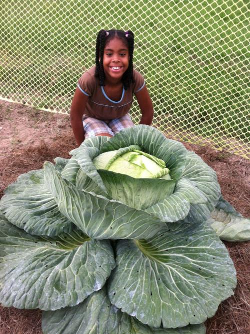 TEACHING KIDS GARDENING