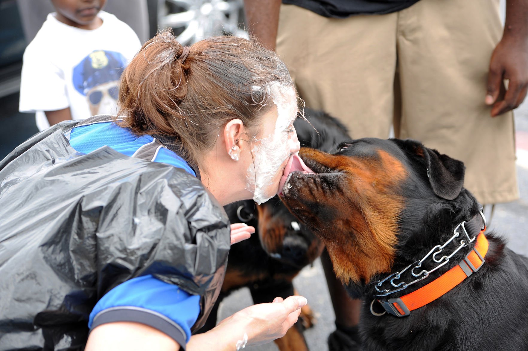 Pies for Pooches raises funds for animal shelter News kdhnews