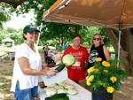 Salado Farmers Market
