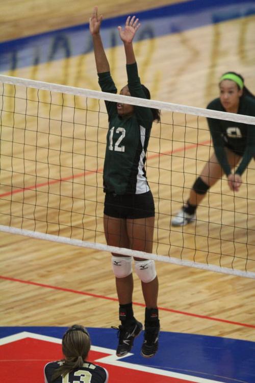 EllisonMansfieldVolleyball41.JPG