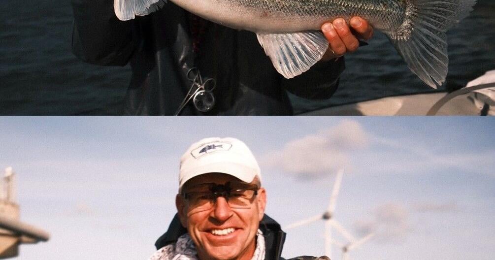 BOB MAINDELLE: Fishing in the Netherlands