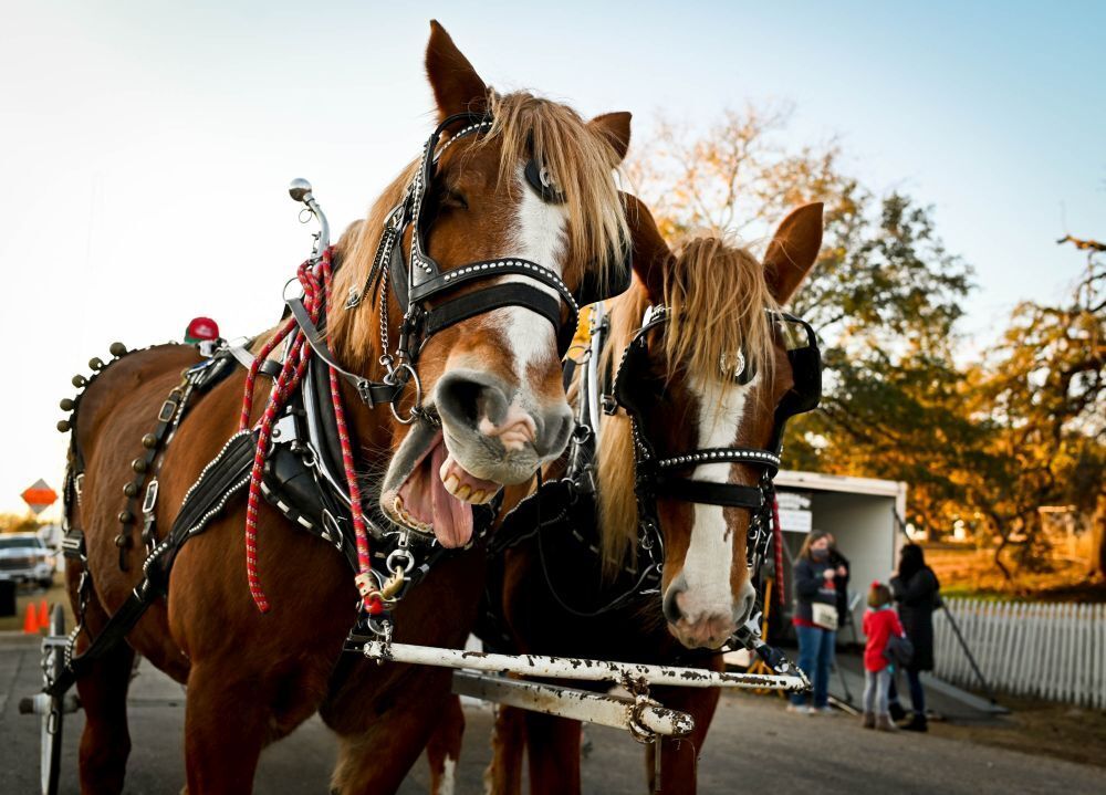 Local and out-of-town shoppers take part in Salado Christmas Stroll - Vimarsana News