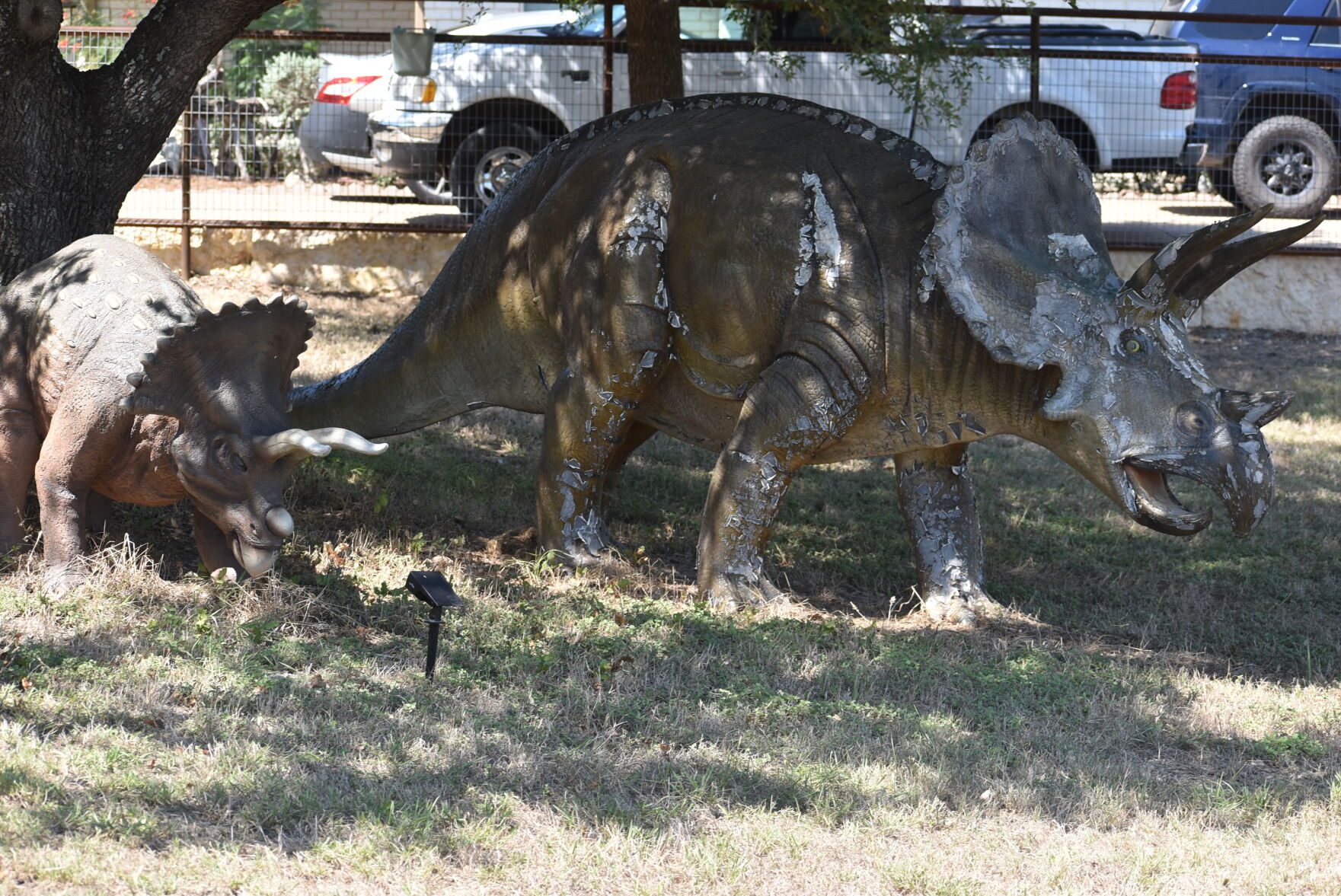Dinosaurs spotted in Heights neighborhood | Local News | kdhnews.com
