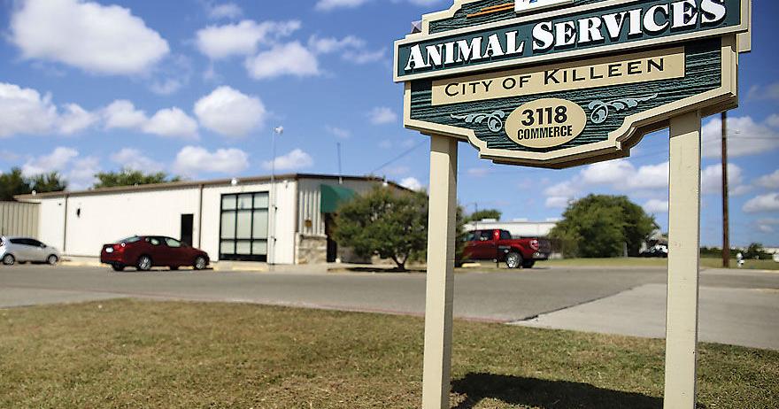 Girls in Killeen Girls in Killeen