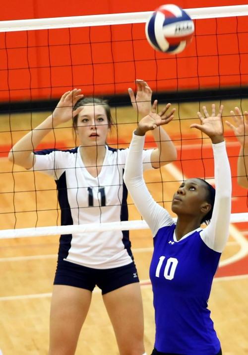 Cove Swept by Flower Mound in Area Round